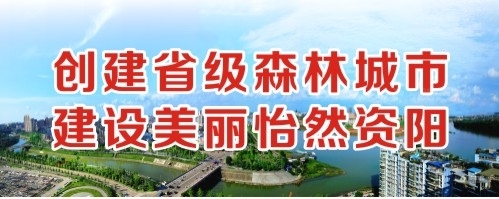 黄片在线大鸡巴乱操小逼创建省级森林城市 建设美丽怡然资阳