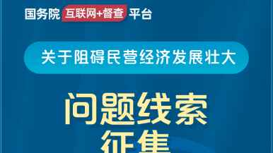 操啊啊啊啊啊在线看国务院“互联网+督查”平台公开征集阻碍民营经济发展壮大问题线索